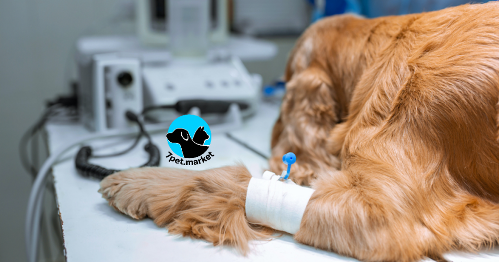 تجهیزات ضروری اتاق عمل دامپزشکی 7pet